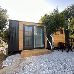 Superior Bungalov